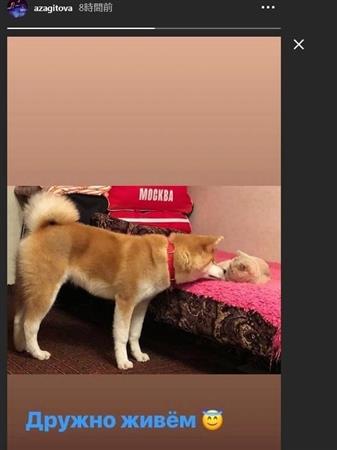 livedoornews's tweet photo. 【きゃわ】ザギトワ「仲良く暮らしてます」、マサルと先住猫の写真公開
https://t.co/xz13KwoFR2

猫のイリースカと鼻をくっつけあう姿を公開。5月には「マサルが猫にほえて、猫はマサルを威嚇して…」と語っていた。 https://t.co/9gL0REbZST
