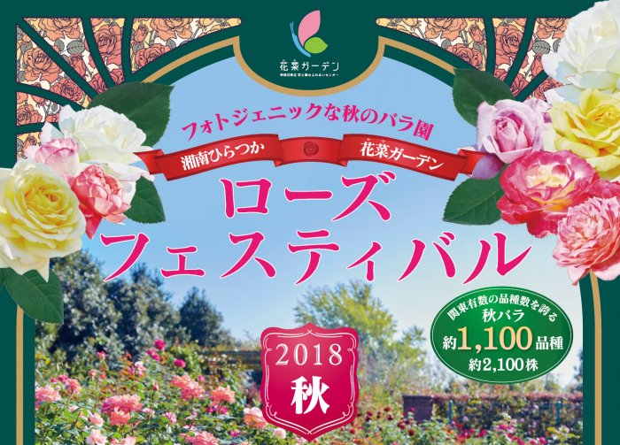 Feel Shonan ローズフェスティバル 18 秋 関東でトップクラスの品種数を誇る当園の バラ園 薔薇の轍 わだち で ステキな秋の一日を過ごしてみて下さいね バラ ローズ 日程 10月6日 土 11月4日 日 場所 花菜ガーデン 平塚