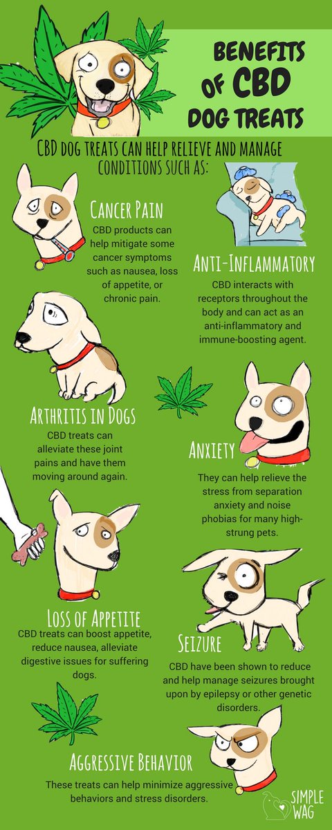 CBD gives your pets options that won’t harm their vital organs. From over-aggressive pets, to curbing anxiety, or joint inflammation, CBD for your cat or dog is a great option! Get some today, your furry friends will thank you!  

[Buy here]:bit.ly/2OefDWp
#doglovers