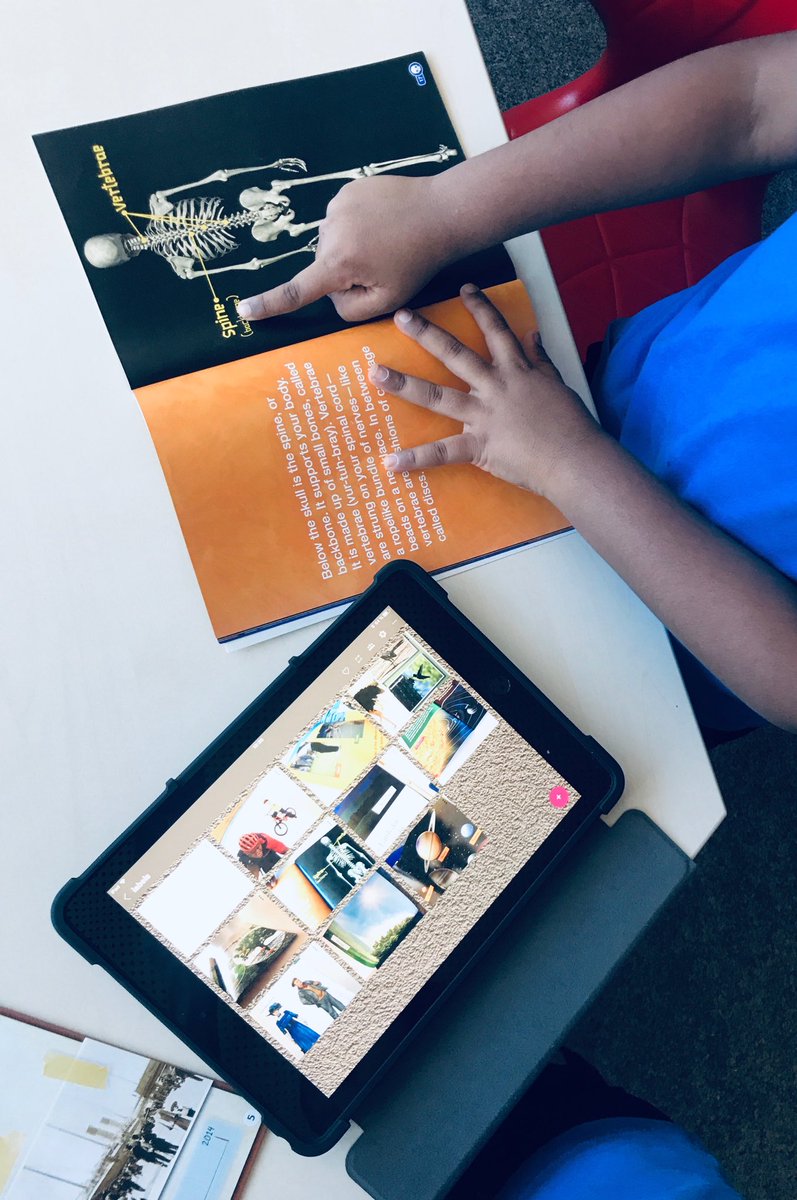 miss_f_library's tweet photo. Grade 1s learning about and categorizing non fiction text features using ⁦@padlet⁩; a super simple but engaging comprehension lesson! ⁦@millerread⁩ ⁦@Stephharvey49⁩ #BISlearns https://t.co/N0XFF1DxsH