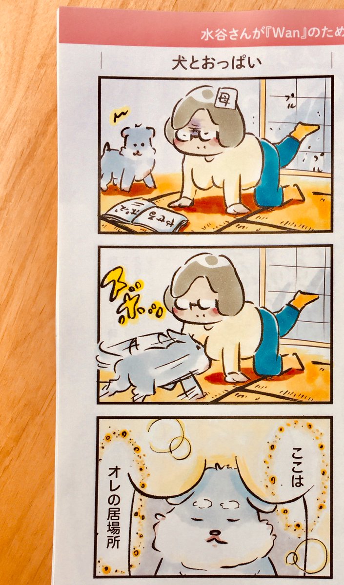 実家に来てもらい、犬と鴨を取材してもらった。4コマも新しく書いた。Wanという犬雑誌にて。
もう一生こんなことないだろう。嬉しい
よかったなポッケ、クロちゃん。

雑誌を見て、自分が飼ってるのと同じ犬種で、自分の犬よりフワフワで綺麗にカットされた美しい犬がたくさん載っていて、複雑な気持ち 