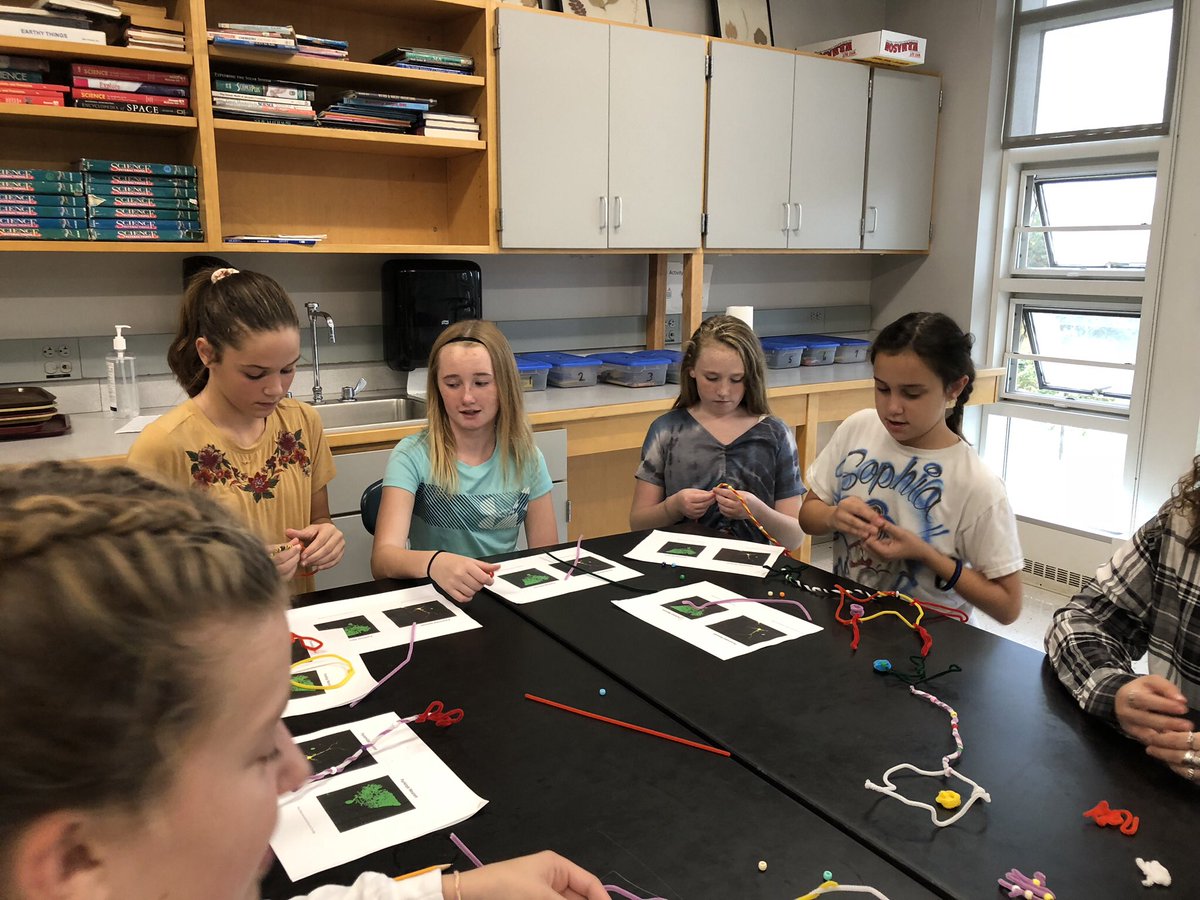 Dr. Cyr along with her Stonehill College neuroscience students teach 6 Purple students about brain cells 🧠 #6PRocks #LancersLead