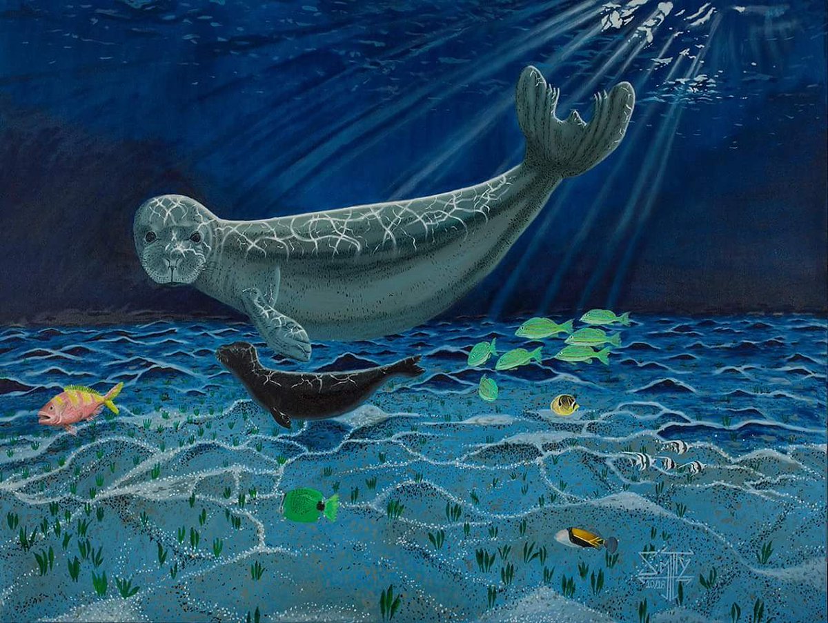 Just finished this 36x48' oil painting on canvas to bring awareness and funds to #HawaiianMonkSeals #Conservation efforts by @TMMC plz consider buying a print or even the original, a portion of each sale goes to help this #EndangeredSpecies customsmittyart.pixels.com #paintanddonate