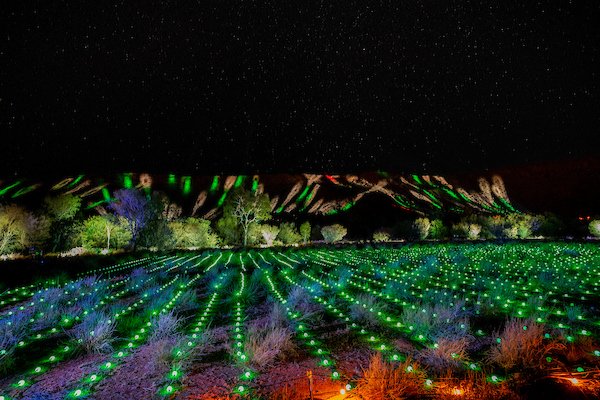 Atomic 212° tweet media