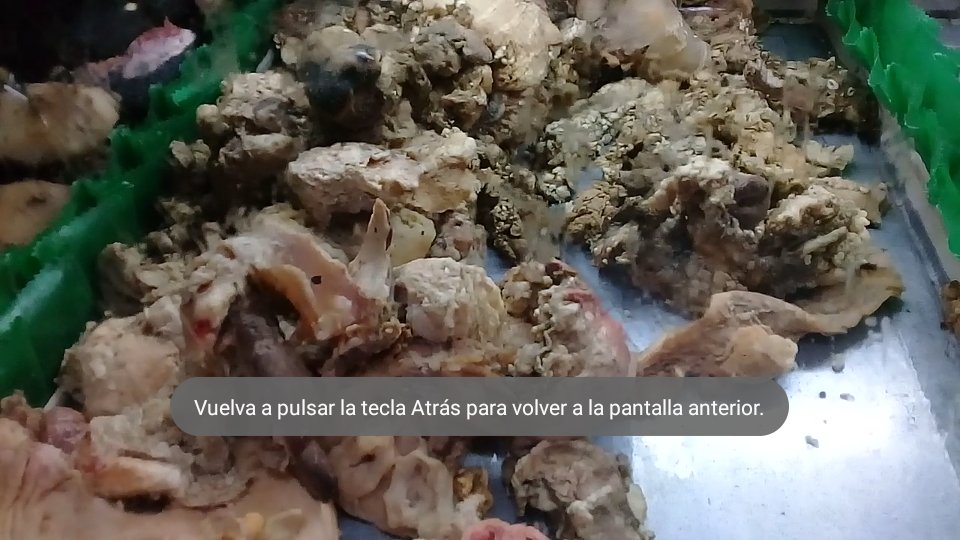 jadesdelgado's tweet photo. #11Oct || En carnicerías de #Mérida ante la escasez de carne y pollo ofrecen pellejos, vísceras y patas de pollo, tampoco se consiguen huevos, hay cochino pero el costo es alejado al salario mínimo de los ciudadanos. Qué vamos a comer? Se preguntan. #Venezuela #SinCarne #SinPollo https://t.co/o6m6fjtBcm