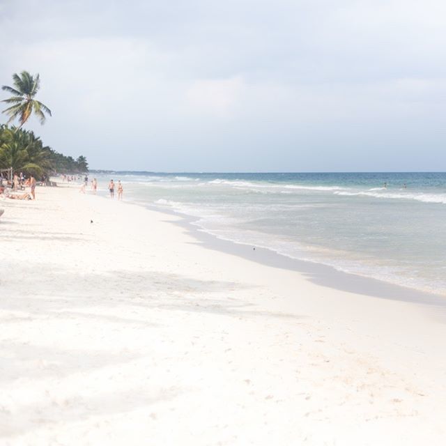 BeTulumHotel's tweet image. Crystal clear love. ✨
.
#BeTulum #Be #BeUniverse #BeUnique #Tulum #Mexico
⠀