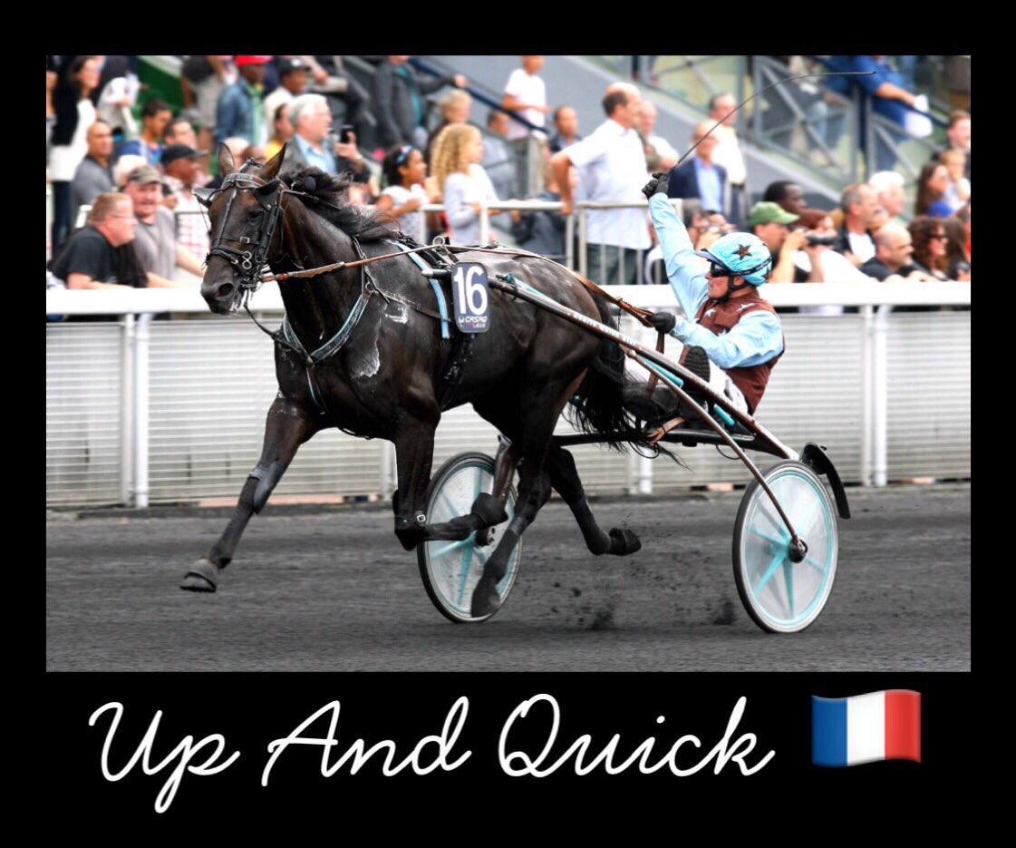 SOAofNY's tweet photo. #International18
UP AND QUICK 🇫🇷 
Post: 2
Driver: @jbartlettracing 
Trainer: Antoine Lherete https://t.co/sYnOItX0sp