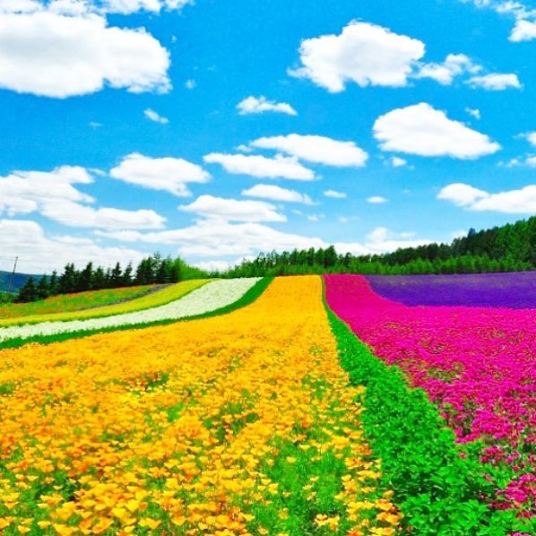 Sns拡散サービスプロバイダ インセグ Inseg Inseg2285 さん Twitter