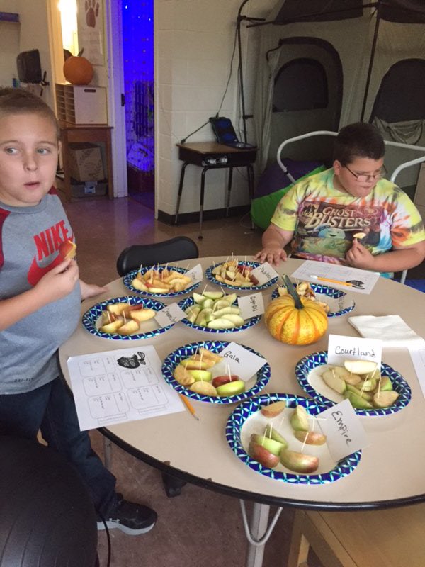 FiettaMegan's tweet photo. Mrs. Campbell’s class had fun practicing their math  and science skills using a variety of delicious apples. @cayboces https://t.co/vCPaQWqidC