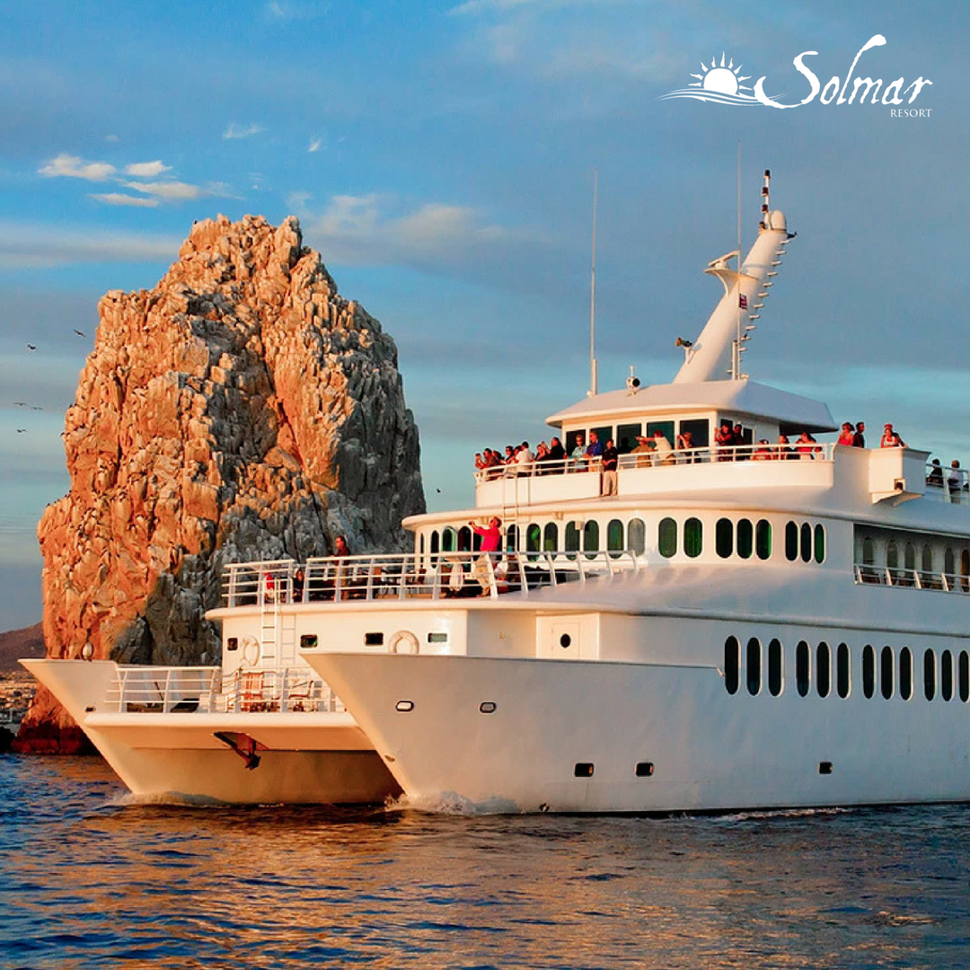 SolmarResort's tweet photo. Watch the #sunset and breathtaking views with #livemusic and limitless #cocktails. Let your concierge pamper you with a dinner and show on the #CaboRey. https://t.co/Su1WBE9GHX https://t.co/xQHlypadgI