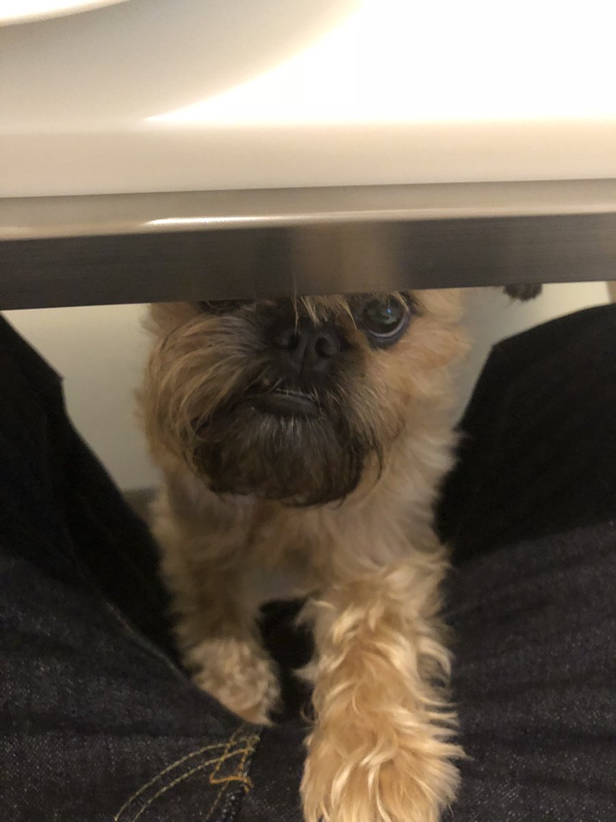 _NomChompsky's tweet photo. You got food up there? https://t.co/y46Ao6TvyT