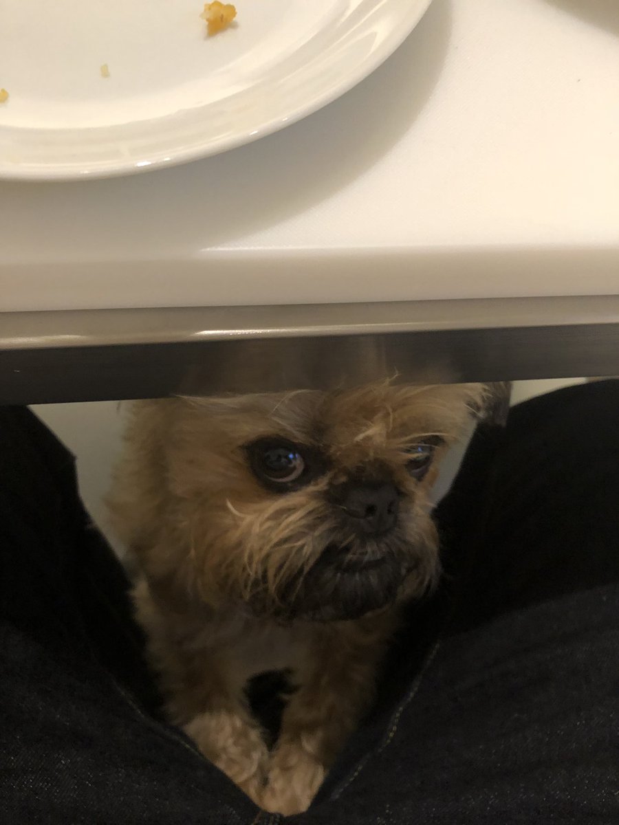 _NomChompsky's tweet photo. You got food up there? https://t.co/y46Ao6TvyT