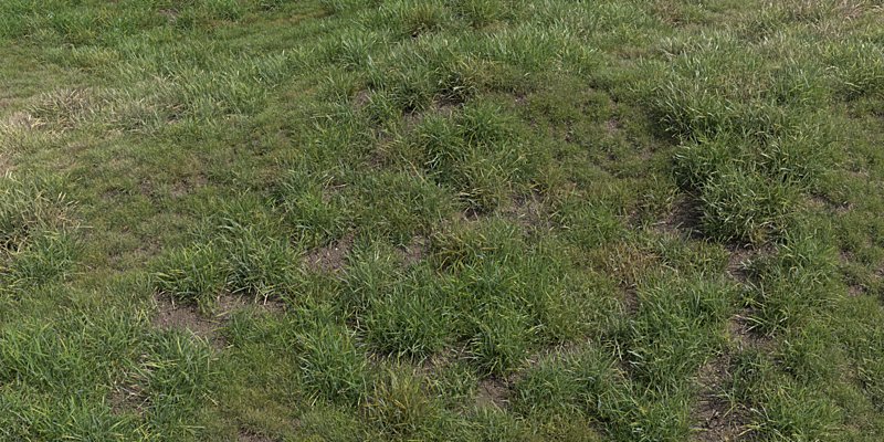 Blender Market on Twitter: "Very nice grass pack, a simple particle system that creates grass spaces 21 grass and a procedural material composed of one texture. https://t.co/qSJoEdsS8d" / Twitter