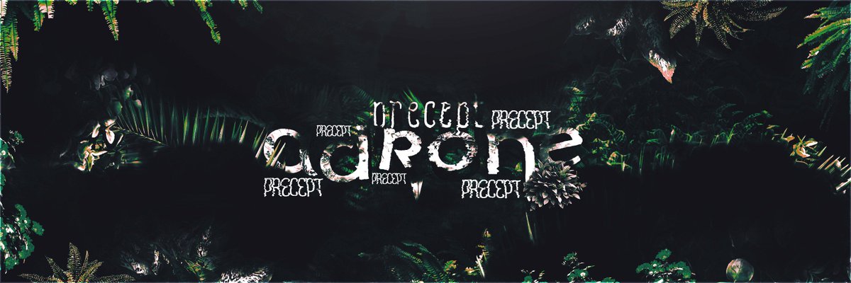 equohh's tweet photo. Header for // @PreceptAdrone
Support is appreciated. https://t.co/uJjqA6BdTI