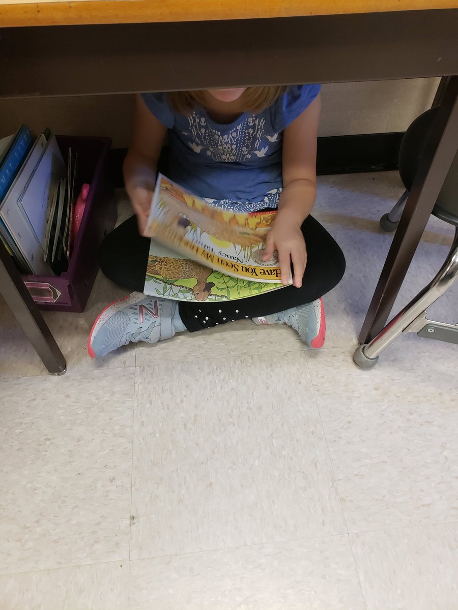 staceylarge2's tweet photo. Getting comfy reading our "just right " books #WHFelementary #eips #ReadersWorkshop https://t.co/d1j67NlY3W