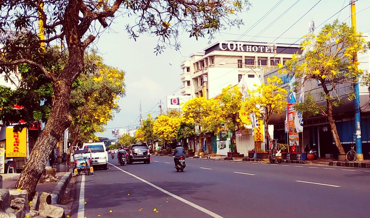 Welcome Autumn 🍁🍂#purwokerto #autumn #musimgugur #banyumas