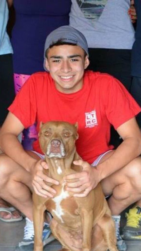 Insurrectas💚 tweet media