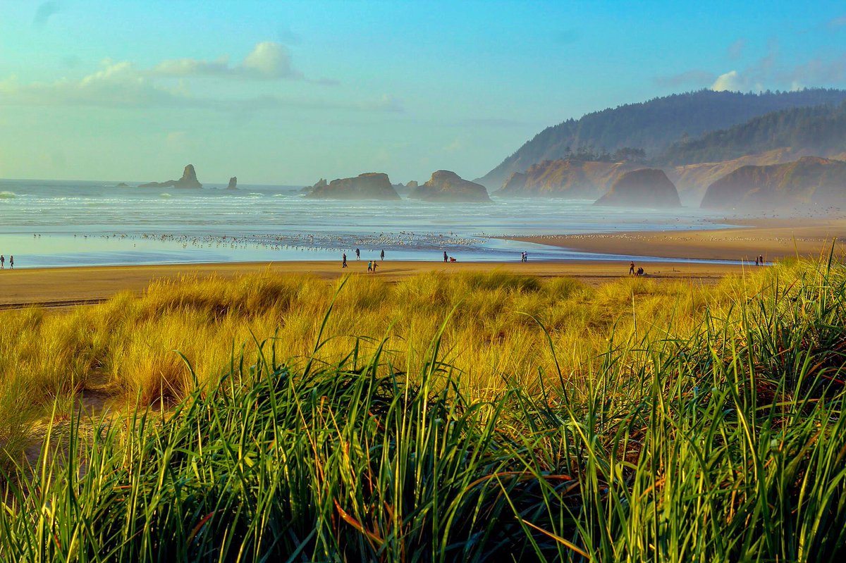 Dreaming of a fall getaway to beautiful Cannon Beach. Raise your hand if you wanna go with me. )If you do go I highly recommend staying at the <a href="/surfsandresort/">Surfsand Resort</a>!) 🌊☁️💞