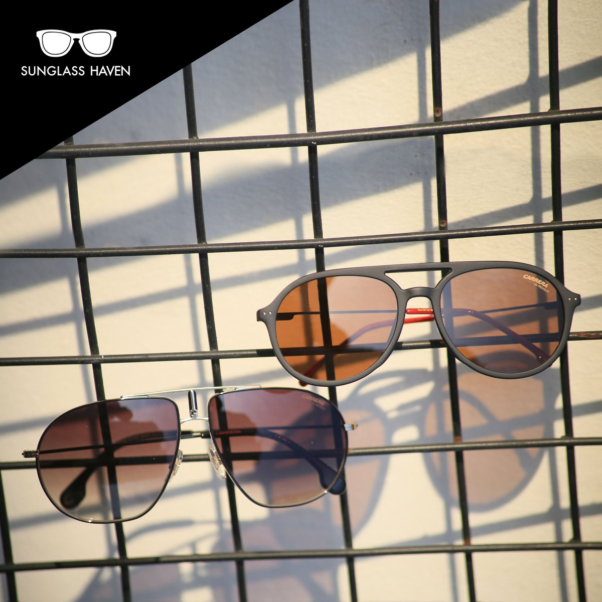 sunglasshavenph's tweet photo. Pair your OOTD with these CARRERA sunglasses and standout from the crowd.

Visit any Sunglass Haven branch 😎

#SunglassHavenPH #Carrera #Sunglasses #Fashion #Style https://t.co/2ckI0y76uU