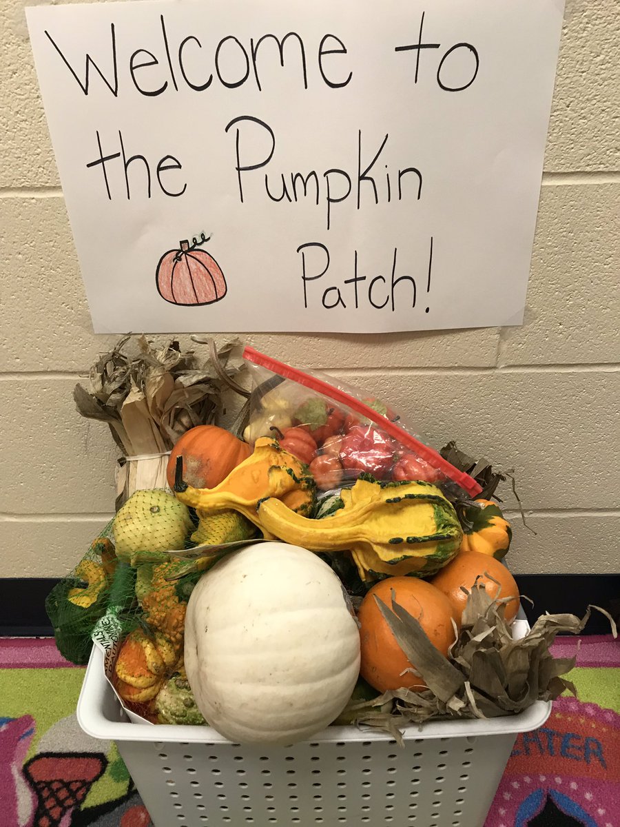 jillbee7's tweet photo. Kinder pumpkin patch practice for when we visit the real thing!  @cjbb630 made us a cute sign. #ayearinkinder #losreyeslife #thisisnisd https://t.co/eB4mjNPyzg