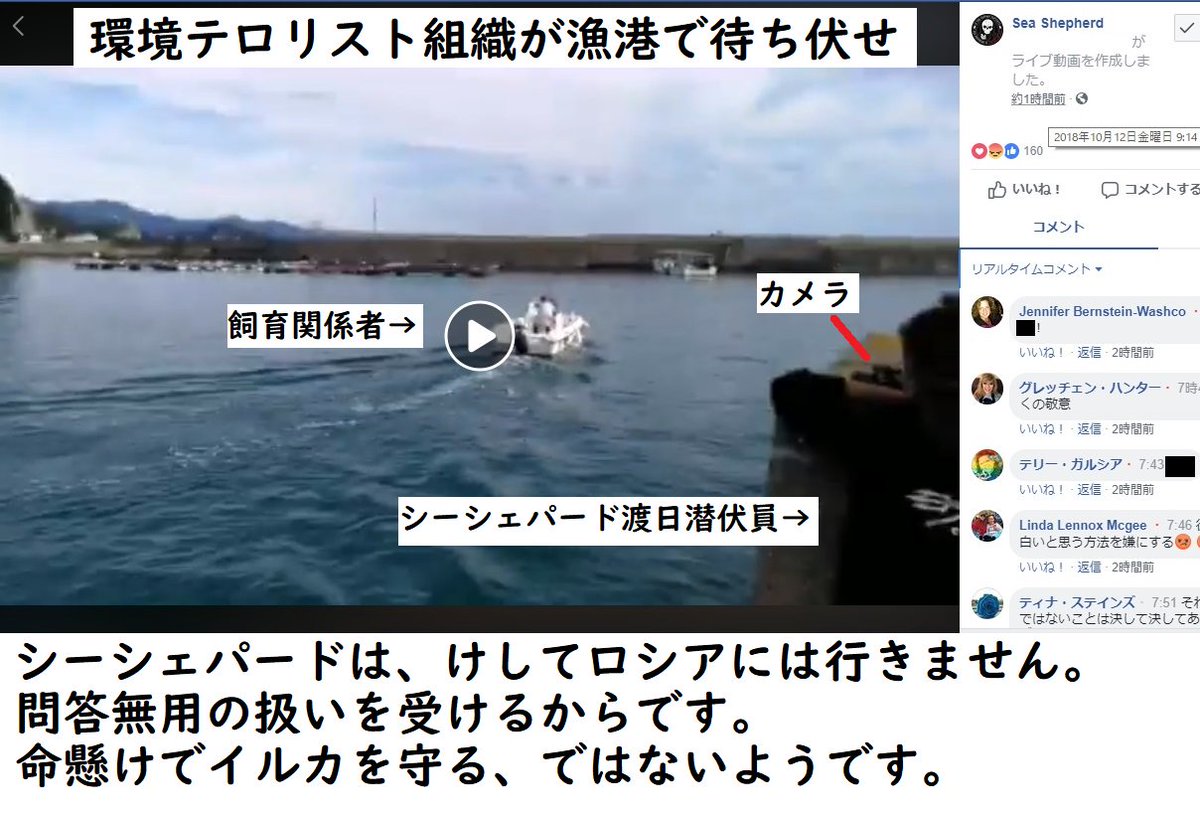 توییتر 鯨類に感謝 Thanks Cetacea くじらの消費者運動 Yundagananikayoの者 در توییتر シーシェパード潜伏が報道されました 入国は続くと思われます 海外での 日本人への嫌がらせが増加する虞があります 和歌山 太地町 クジラ 追い込み漁 解禁 関西空港 توییتر 鯨類に感謝 Thanks Cetacea くじらの消費者運動 Yundagananikayoの者 در توییتر シーシェパード潜伏が報道されました 入国は続くと思われます 海外での 日本人への嫌がらせが増加する虞があります 和歌山 太地町 クジラ 追い込み漁 解禁 関西空港