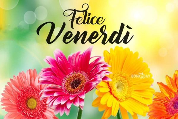 Matteo on Twitter: &quot;@ritadalpastro buongiorno e buon venerdì 💙🌷🍊😘🍰🏵️🍩🌺🌼