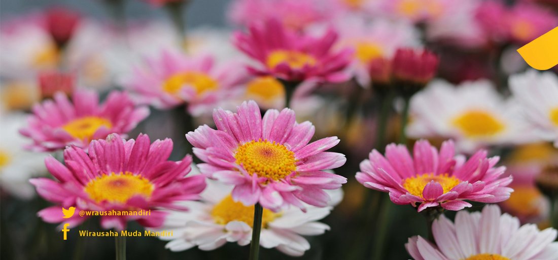 "Pikiran melahirkan tindakan, tindakan menghasilkan kebiasaan, kebiasaan membuahkan karakter, dan karakter menciptakan nasib." - Aristoteles