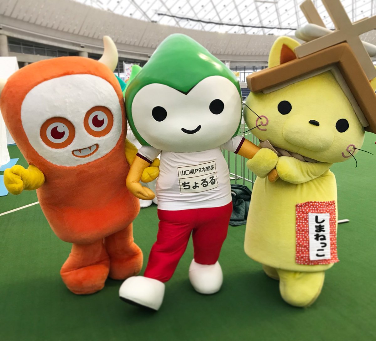 山口県pr本部長ちょるる 公式 A Twitteren 13日 14日は山口 市の Yabふれあいフェスタ18 と鹿児島県の 鉄道の日jr秋のふれあいday18 に遊びに行くよ 彡13日は Yab山口 朝日放送でちょるるも参加する ゆるキャラさんがころんだ が生放送されるけぇ 山口県pr本部長ちょるる 公式 A Twitteren 13日 14日は山口 市の Yabふれあいフェスタ18 と鹿児島県の 鉄道の日jr秋のふれあいday18 に遊びに行くよ 彡13日は Yab山口 朝日放送でちょるるも参加する ゆるキャラさんがころんだ が生放送されるけぇ