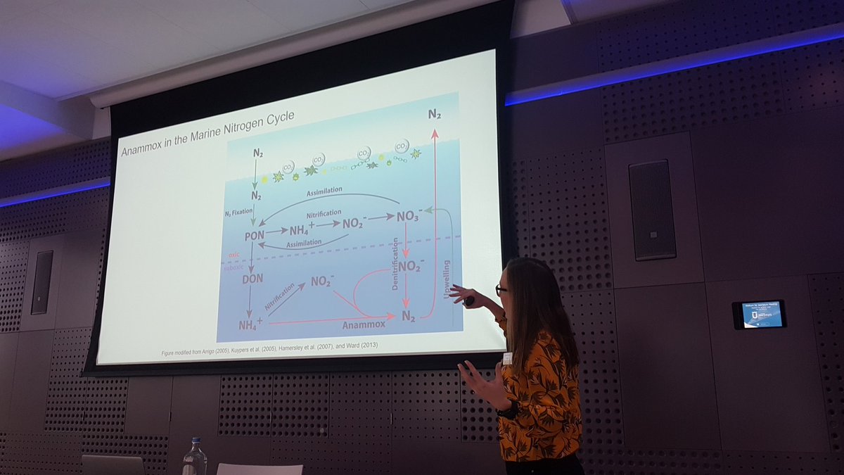 msmjetten's tweet photo. @SIAMmicrobes symposium with @RushDarci presenting the anaerobic #nitrogen cycle #microbiology with #anammox #ladderane lipids &amp; #bht 
https://t.co/k9ZFBtQS0y https://t.co/A2fBaFRnkF