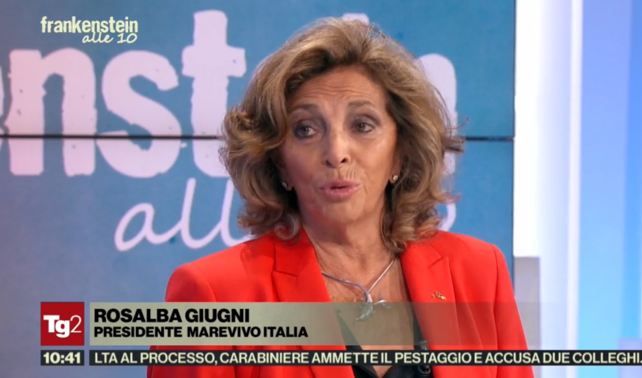tg2 on twitter ambiente plastiche mare mediterraneo on air a tg2frank in studio rosalbagiugni presidente marevivoitalia diretta streaming https t co ik58g2if92 https t co lwktv1fem8 twitter