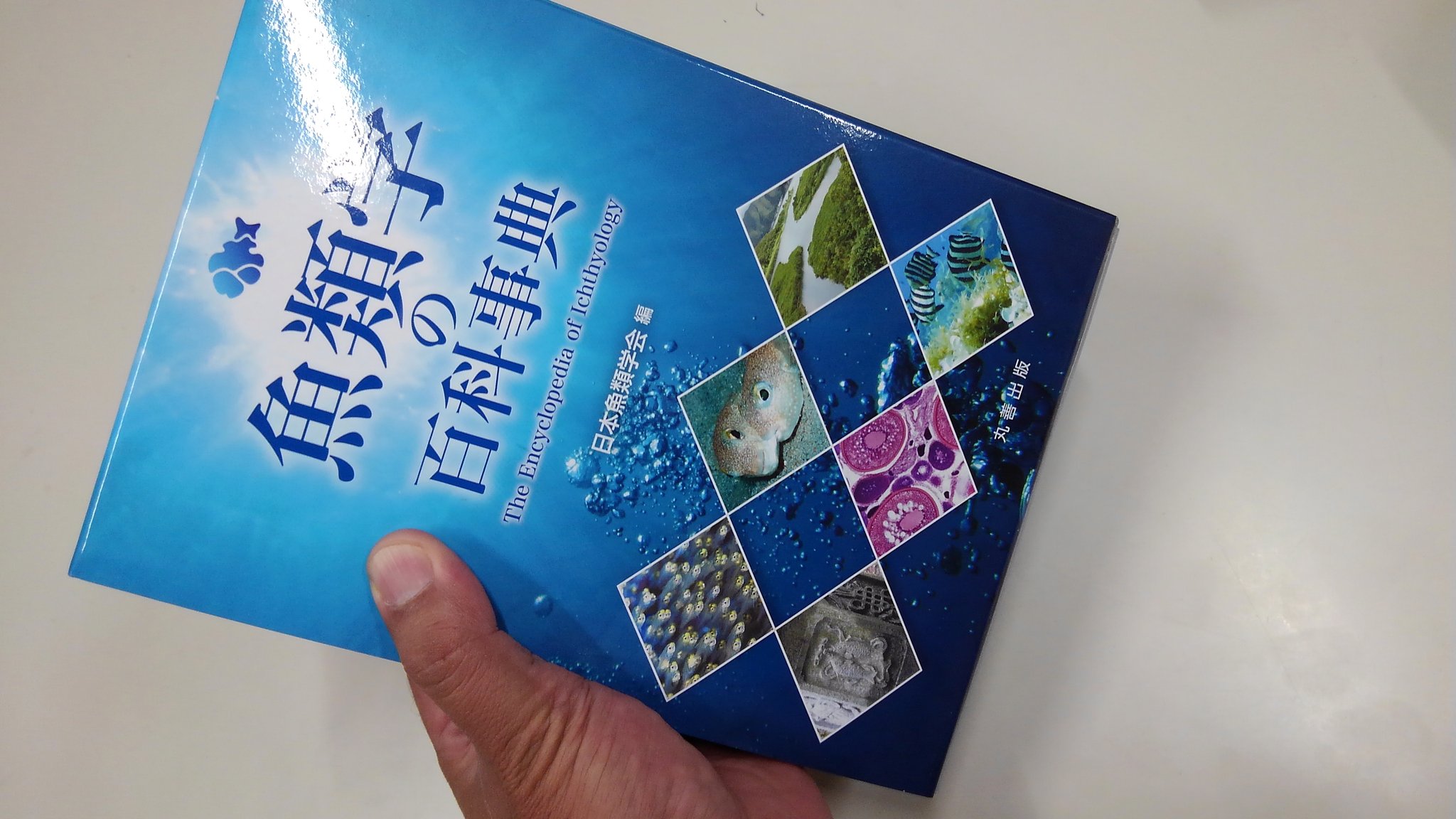 Mukai Takahiko Sur Twitter 魚類学の百科事典 届きました パラパラっとみたところ内容もかなり良い グラム単価は高いけど これは良い本だ T Co Assilahdv9 Twitter