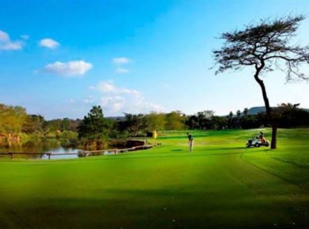 Lilly46504391's tweet photo. #TourCampaignSA
#ENG2604 
How about a great opportunity to get up and close with wildlife while enjoying 18 holes, only at Sabie River golf course in Kruger Park esp at the cooler months of winter. It is in a Refined Resort offering upscale rooms, outdoor pools &amp; a lavish spa. https://t.co/vA7QpGQ0Kc