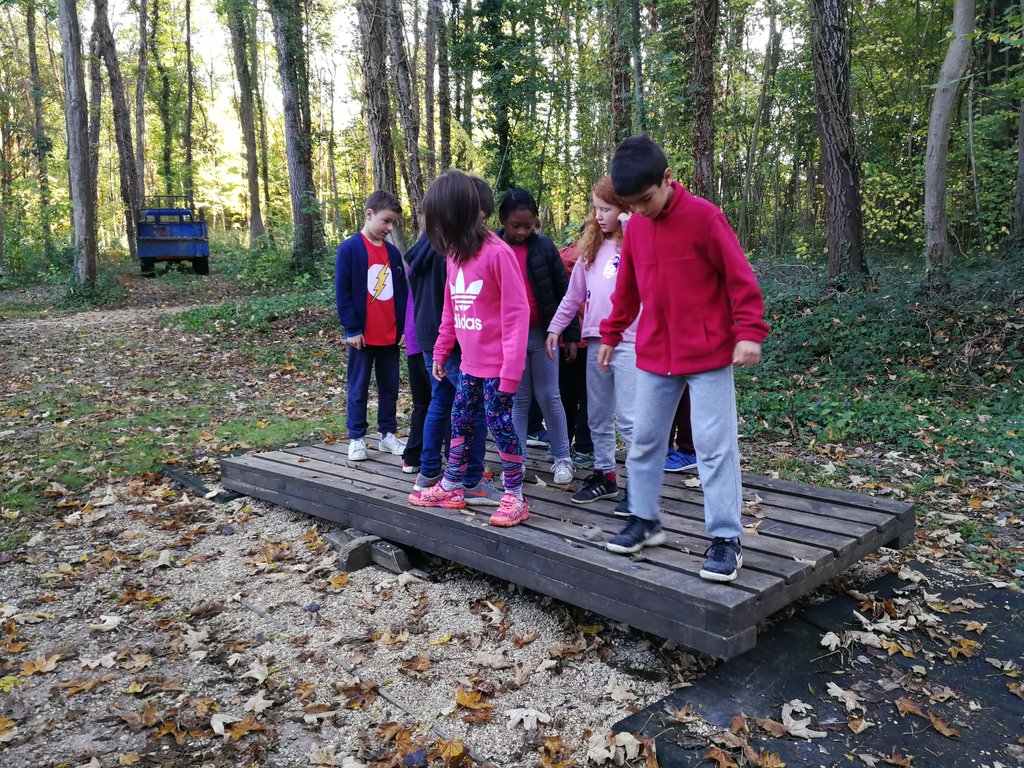 zmajcek27's tweet photo. Yesterday Grade 4 students learned how to make #campfire, make #shelter, work as a #team to achieve the same goal and danced into the night. #dancenight #eslearns #inclusion #esils https://t.co/V8U38P5DkZ