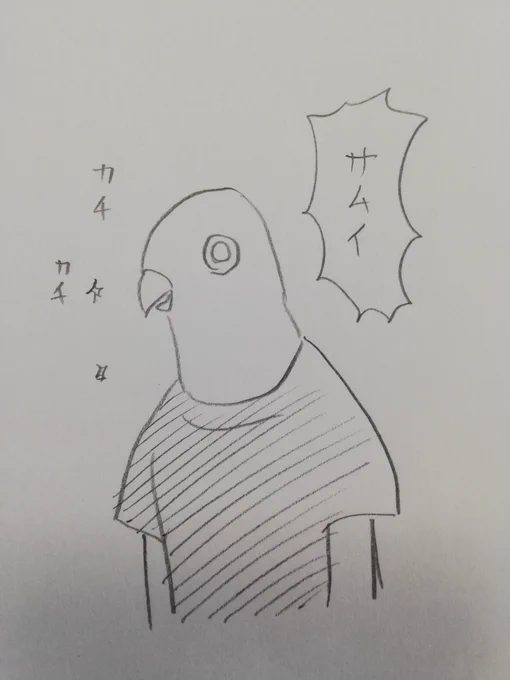 まだ夏だと思ってTシャツ着てたら寒かった 