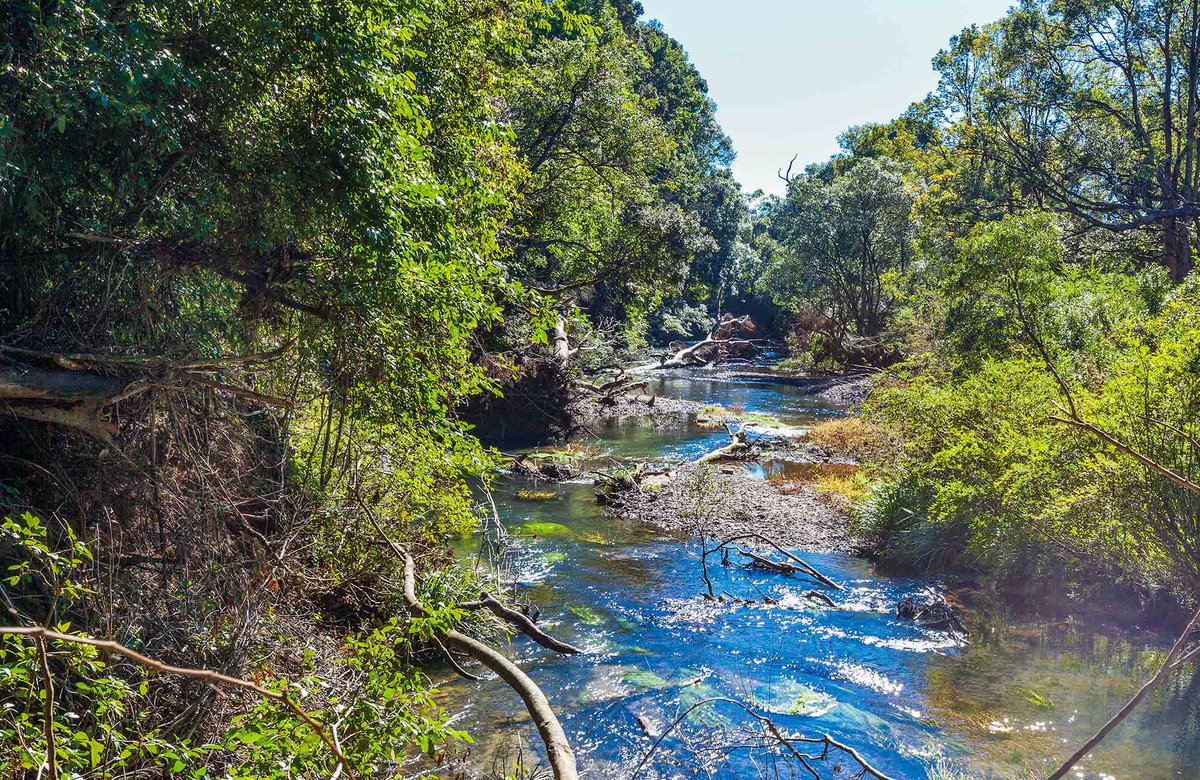 MatjiLerato's tweet photo. Ever wondered what paradise looks likes?  Head to Paradise Valley. The Valley has 'expansive nature preserve with a river, waterfall &amp; 4 trails starting at the interpretive center'.
#4theLoveOfSA
#ENG2604 
#Durban https://t.co/T2aGpfgVsZ