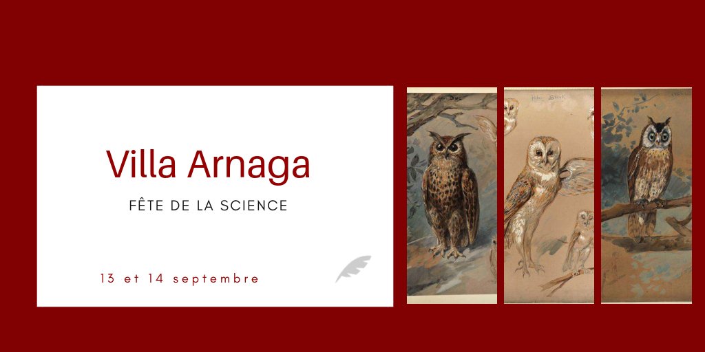 VillaArnaga's tweet photo. Le 13/10 (14h-18h) et le 14/10 (9h30-12h30, 14h-18h), la Villa Arnaga célèbre la FÊTE DE LA SCIENCE en partenariat avec le Lycée Agricole Privé Saint Christophe ! Des activités ludiques vous seront proposées sur la découverte des rapaces nocturnes 🦉🦉🤗! #FDS2018 https://t.co/8Og1kve5ke