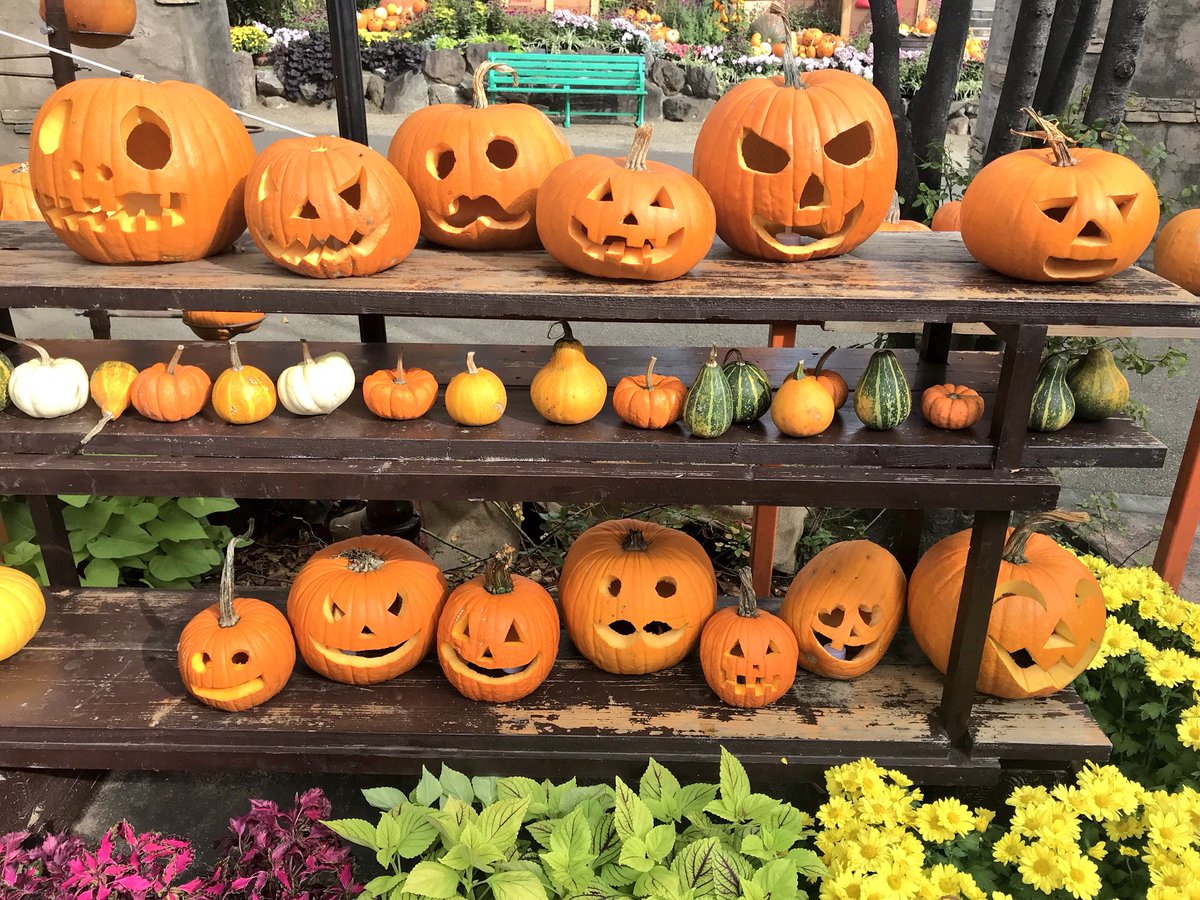 ひらかたパーク 色んな顔のジャック オ ランタンが並んでいます あなたにそっくりなかぼちゃはいますか 個人的に３枚目の子がお気に入り Nn ひらパー かぼちゃ