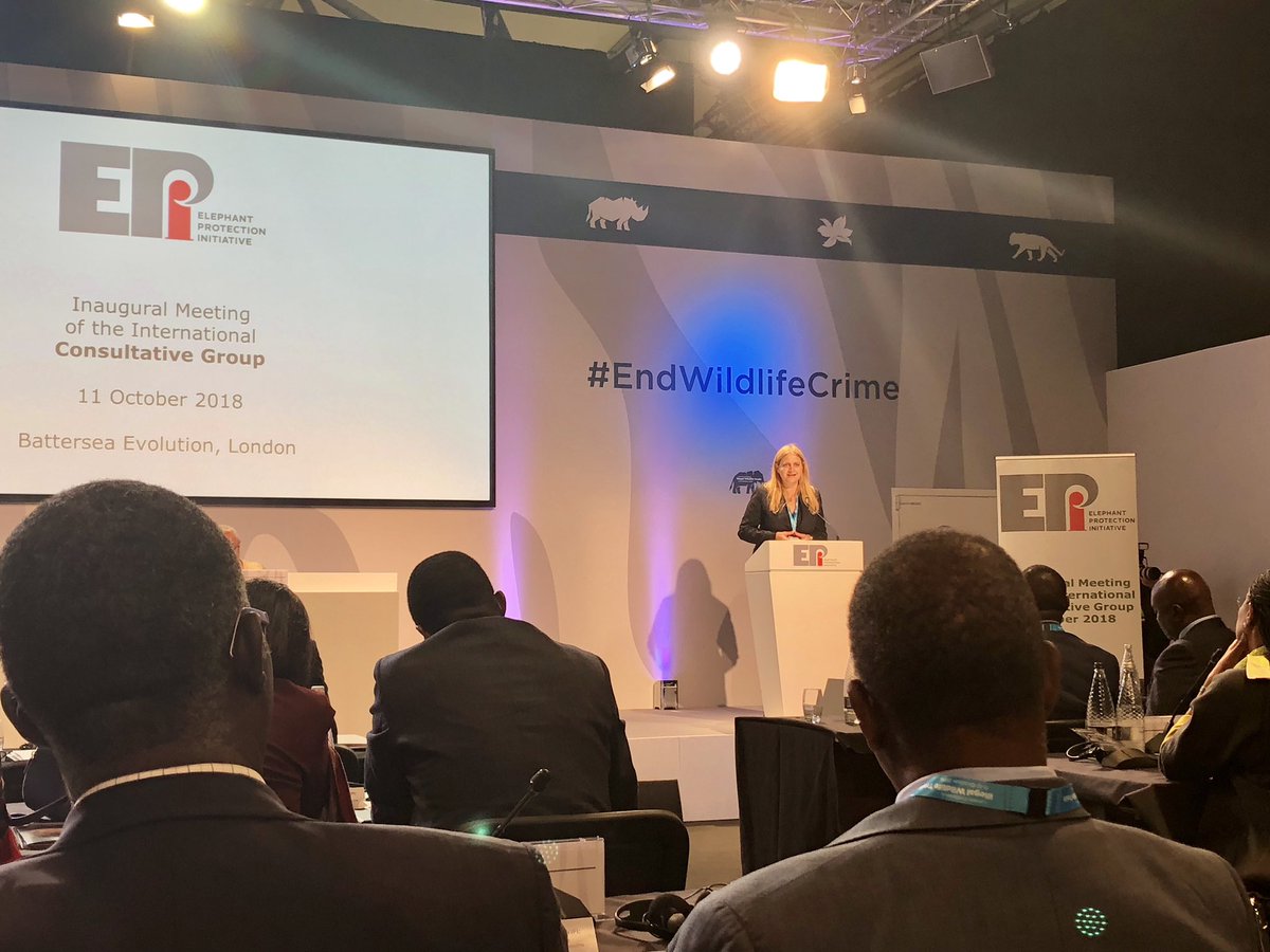 AdrianaDinu's tweet photo. Honored to introduce @UNDP’s innovative fund #LionsShare to #ElephantProtectionInitiative countries & partners @ #IllegalWildlifeTrade2018 in London in the distinguished company of Presidents of #Gabon, #Botswana and HRH Duke of Cambridge. @MarsGlobal @clemengerBBDO @FinchCompany https://t.co/92Ijt2Gd8A