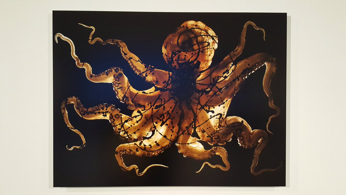 chassespleen13's tweet photo. Mathilde de l’Ecotais, entre Louise Bourgeois &amp; Victor Hugo, est à apprécier jusque 18 octobre au https://t.co/Qxf1q1dfgQ dans le cadre du @MOWmarseille @sofoodsogood #MOW2018 #marseilleoctopusworldwide https://t.co/X5x6ZeMq7l