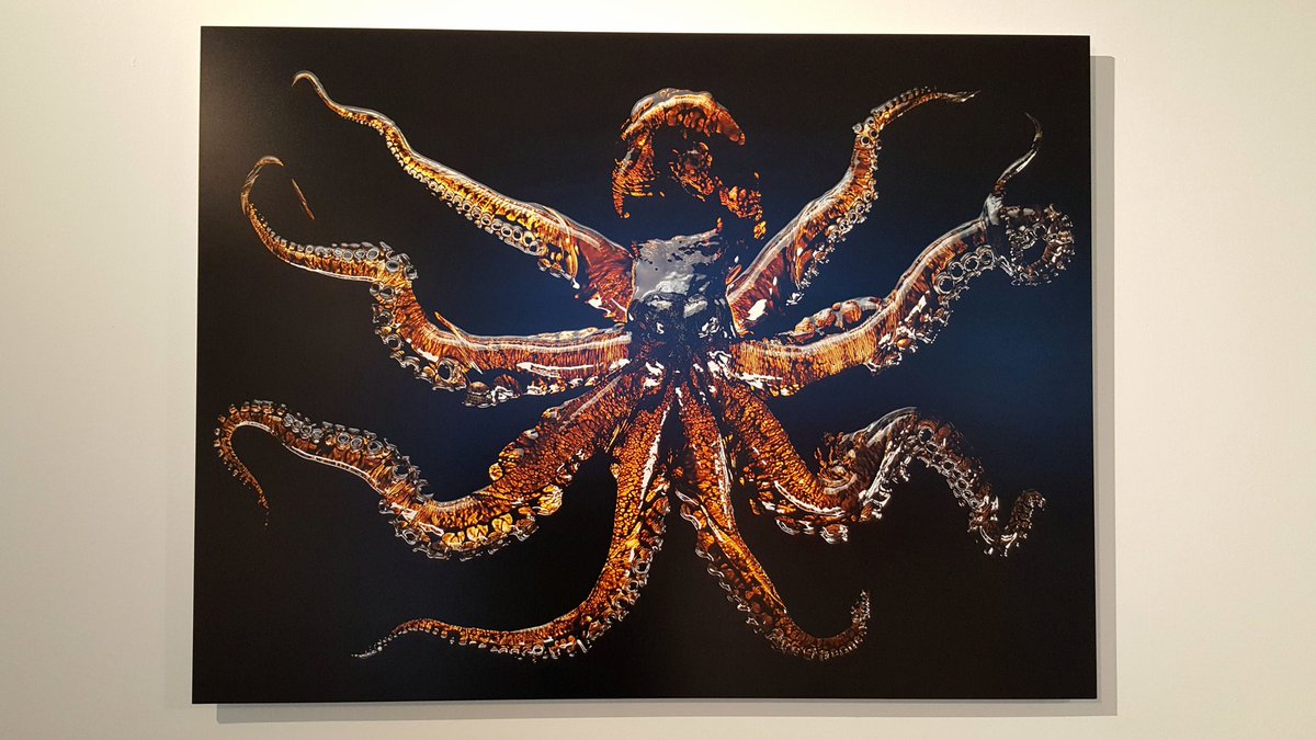 chassespleen13's tweet photo. Mathilde de l’Ecotais, entre Louise Bourgeois &amp; Victor Hugo, est à apprécier jusque 18 octobre au https://t.co/Qxf1q1dfgQ dans le cadre du @MOWmarseille @sofoodsogood #MOW2018 #marseilleoctopusworldwide https://t.co/X5x6ZeMq7l