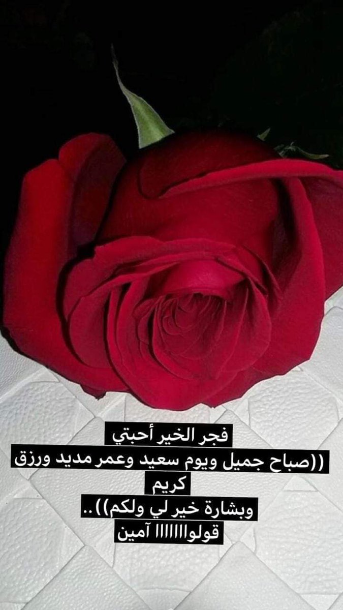 PI0Fu53XRyC81Lk's tweet photo. صباح الخير ،،احبتي https://t.co/yQgFJ18aRL