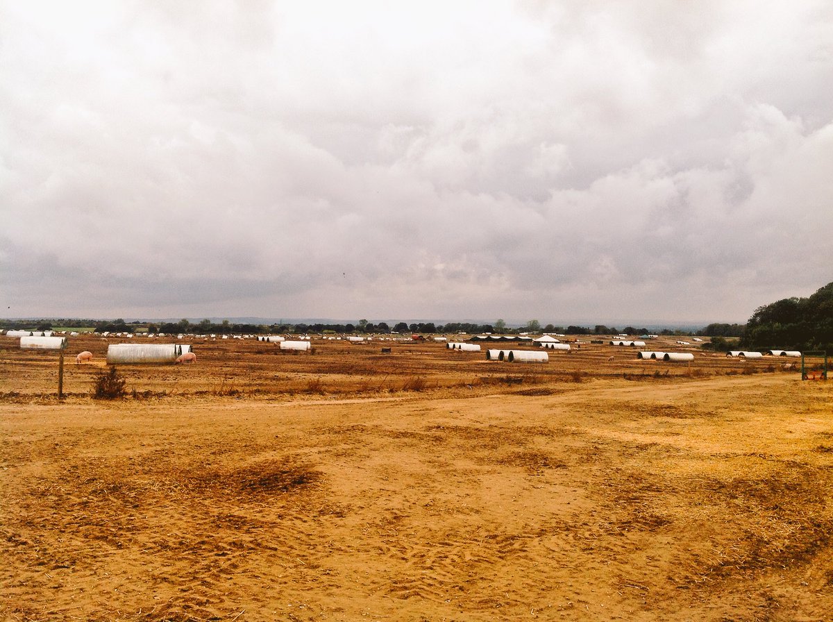 timtomdon's tweet image. #cadwellfarm is run by the brilliant Richard Davey. Their 3500 acres of farmland produces wheat, barley, pigs and turnips... Plus beautiful artwork from reclaimed timber by Kellie, Richard's wife! @FFC_Commission #ffccontheroad