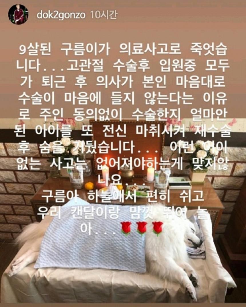 alive__young's tweet photo. 도끼애완견 의료사고로 죽엇다는데 의사새끼 도른놈이다 진짜 콩밥먹여..ㅜㅜ https://t.co/tEhcrW39pR