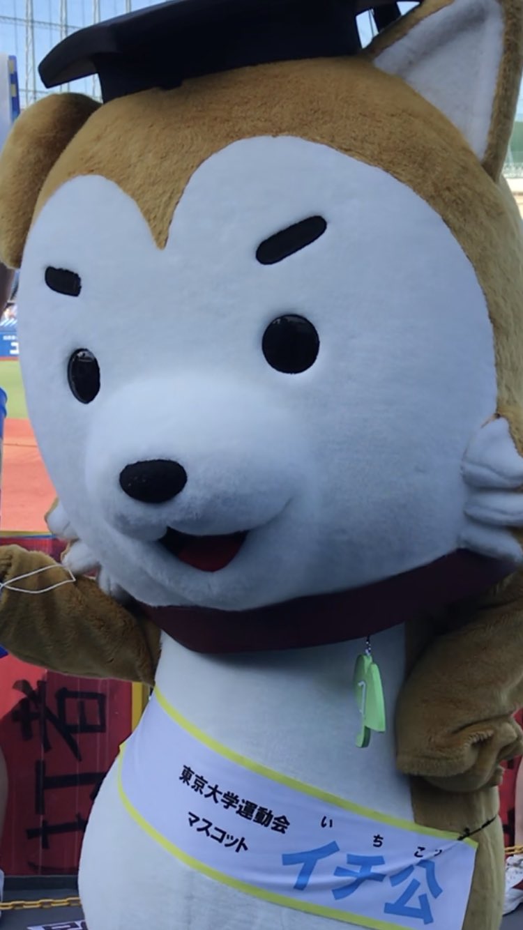 Tokyo Victoryさんのツイート 東京大学運動会マスコット イチ公さん 東京大学淡青の日 10月7日 日 明治大学2回戦 イチ公