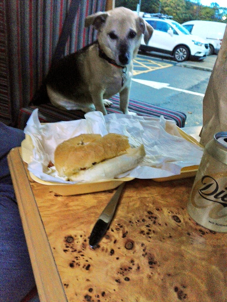 Firesnapper999's tweet photo. Campervan breakfast bap, tnx to the ladies at #Tea62, and discovered they sneaked a sausage in to the bag for Benson @CampervanPup who#4PawLocked outside the cabin at 0430 this am! (0700 open) https://t.co/5hDQxhzWKU