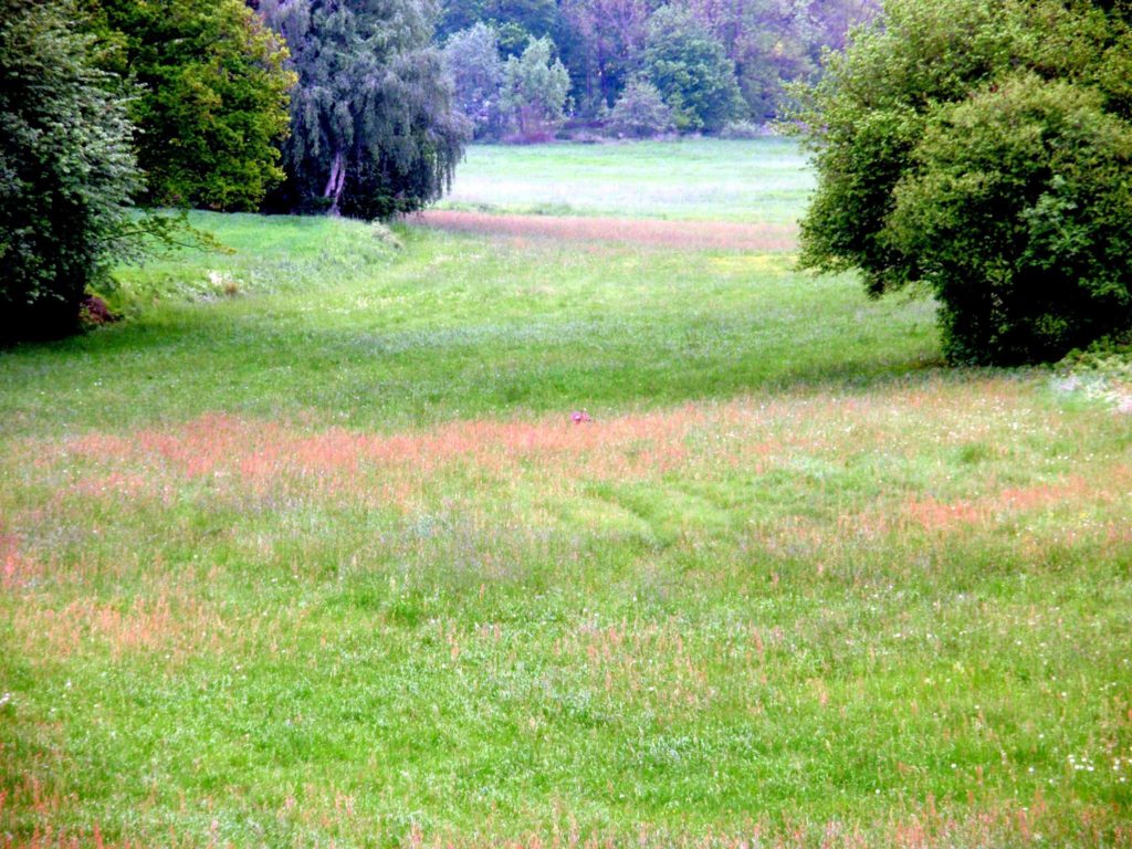 Jetzt lesen: Landtagswahl Bayern 2018 go.fuerjagd.de/7340