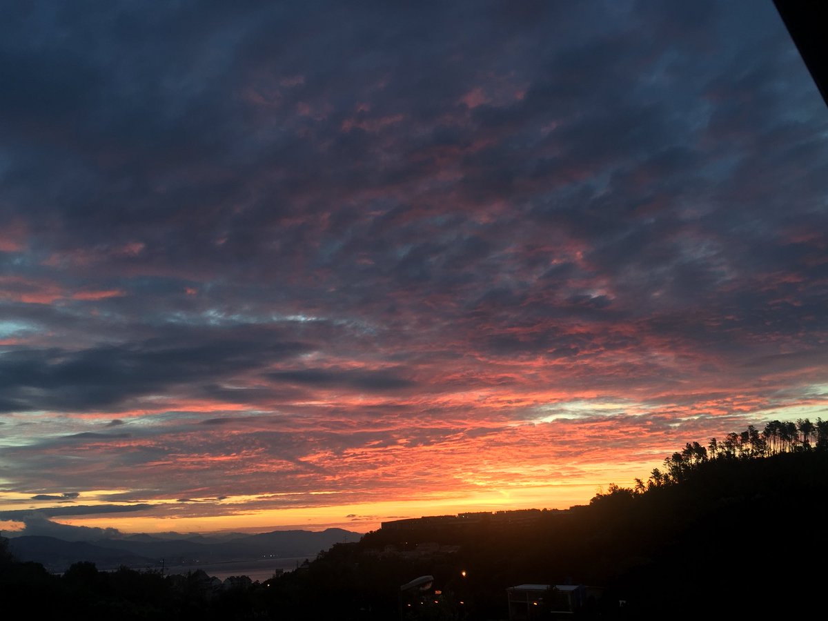 leonardopa tweet picture