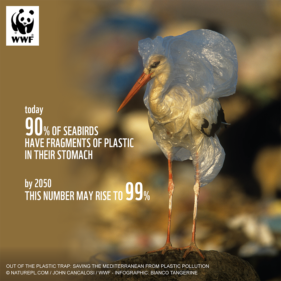 WWFEU's tweet photo. What is #biodegradable plastic? Does it completely break down in any environment? Does it fragment into #microplastics first?
This week, MEPs had the chance to establish a definition to inform sustainable #plastics policy. They missed the mark https://t.co/e8kqwlxzM7 https://t.co/unLYH1yOQC