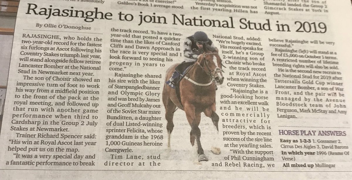 mcstayagent's tweet photo. Rajasinghe is such an exciting addition to @NatStudStallion @AvenueBstock roster! Such an impressive individual if his his progeny inherit his looks and physique he’s sure to be a success both on the track and in the sales ring for breeders! 
#comeseehim
#breedingrightsavailable https://t.co/VO7464Ec0E