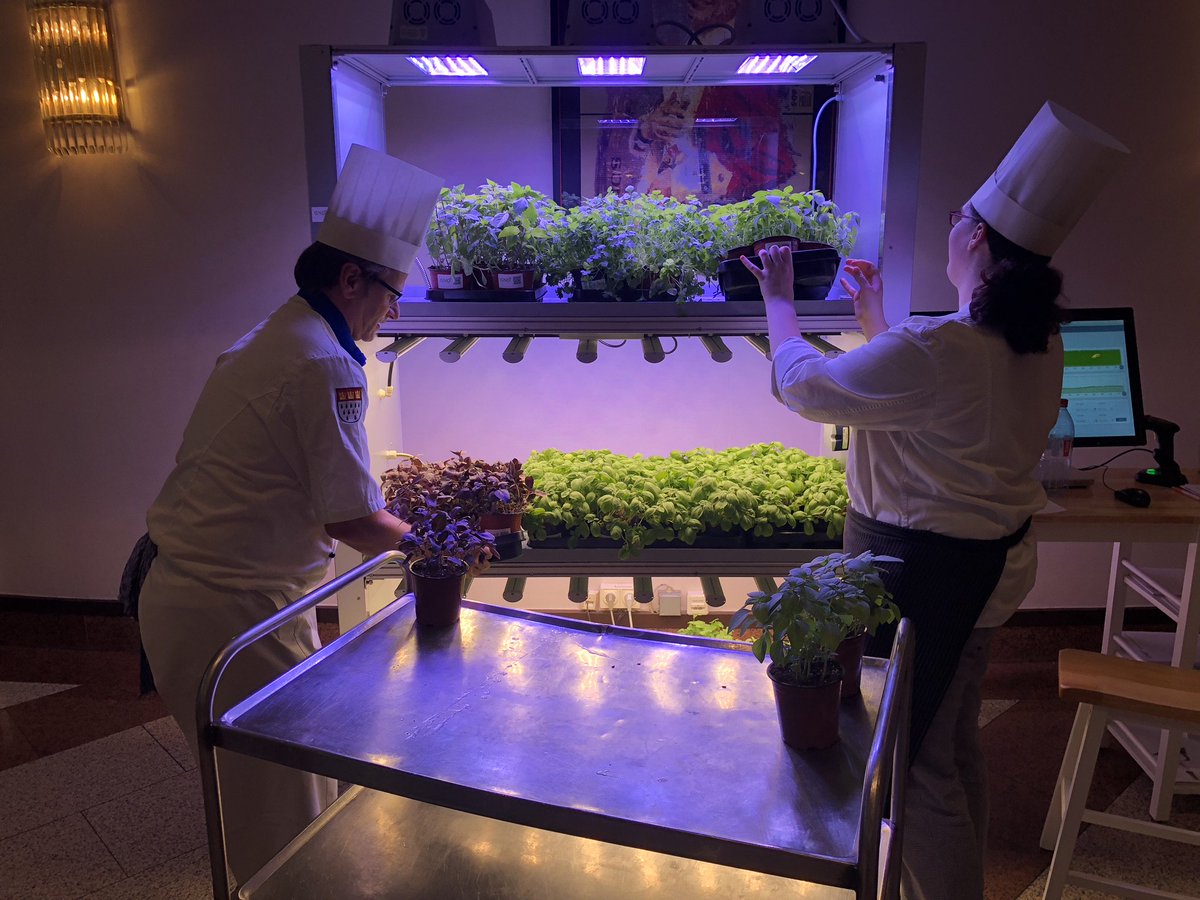GndSolutions's tweet photo. Great days at this year's REFAB conference - special thanks to the nova-Institute for hosting a successful event! 

#refab2018 #microgreens #horticulture #gndsolutions #container #ledgrown #sun #sunlight #healthylifestyle #basilikum #verticalfarming #verticalgarden https://t.co/h5OLd7p8rY